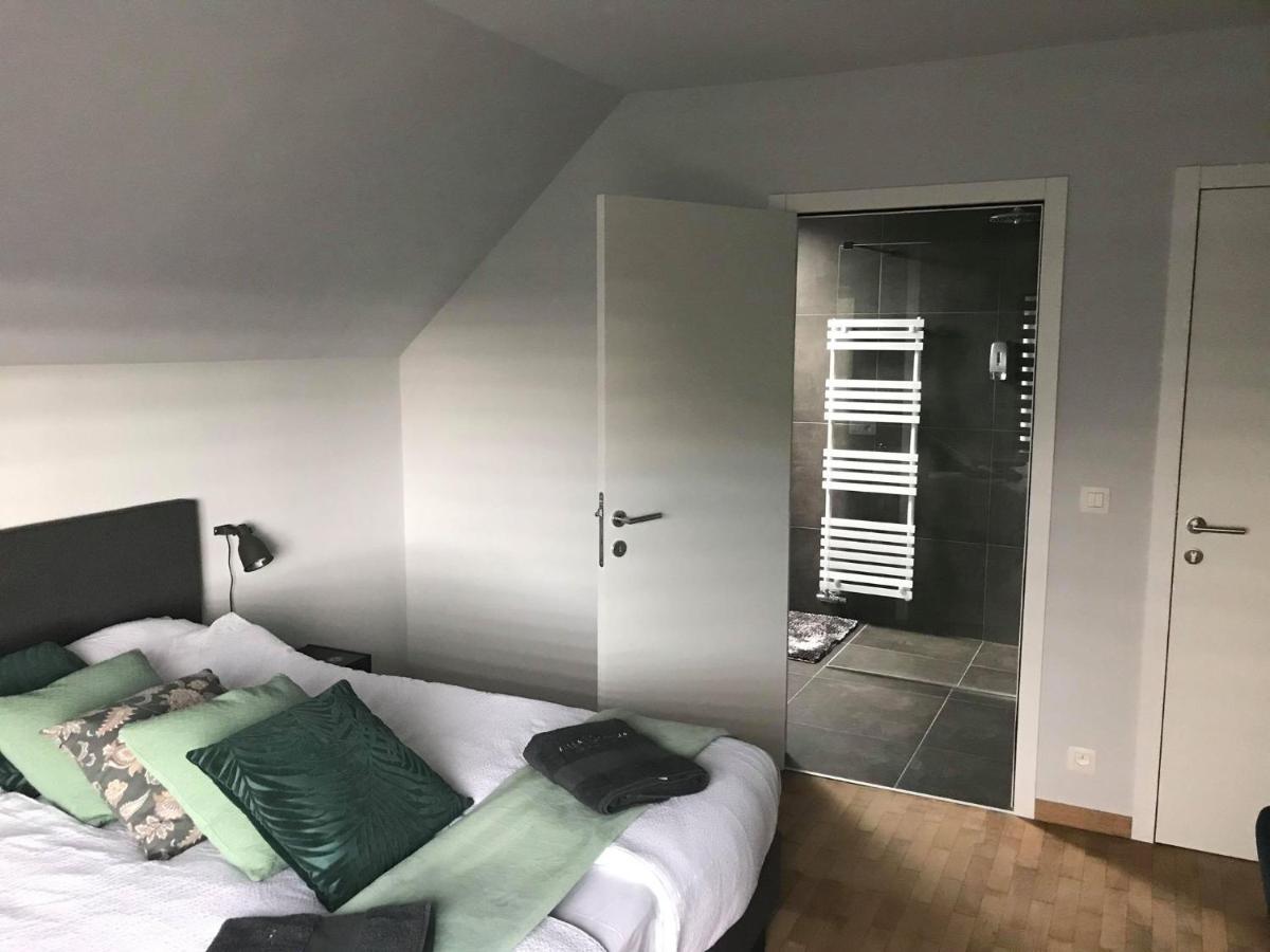Villa Cecha B&b &Wellness Ostende Extérieur photo