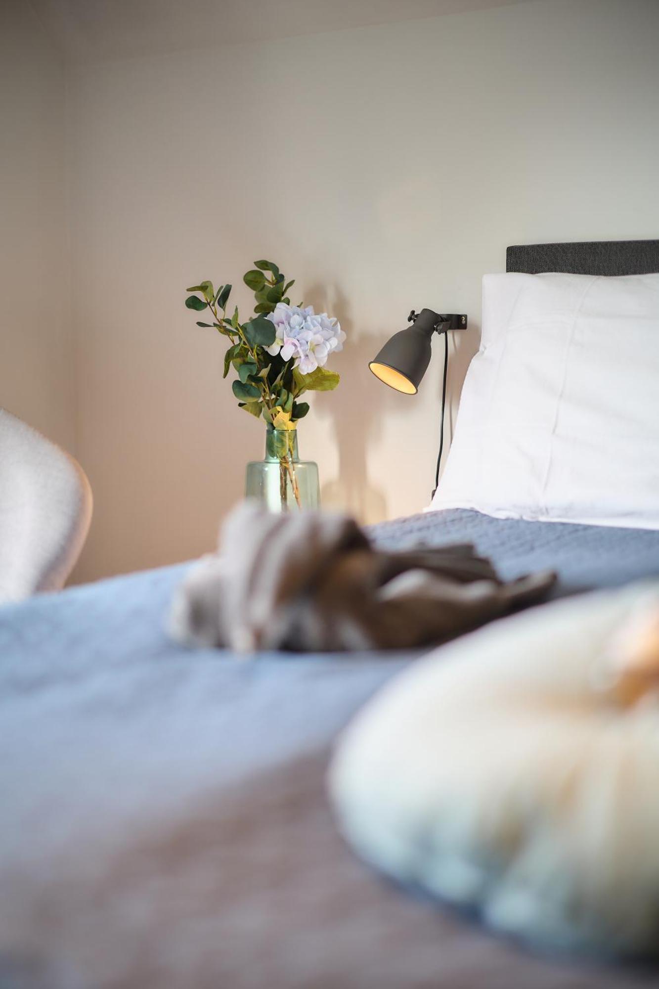 Villa Cecha B&b &Wellness Ostende Extérieur photo