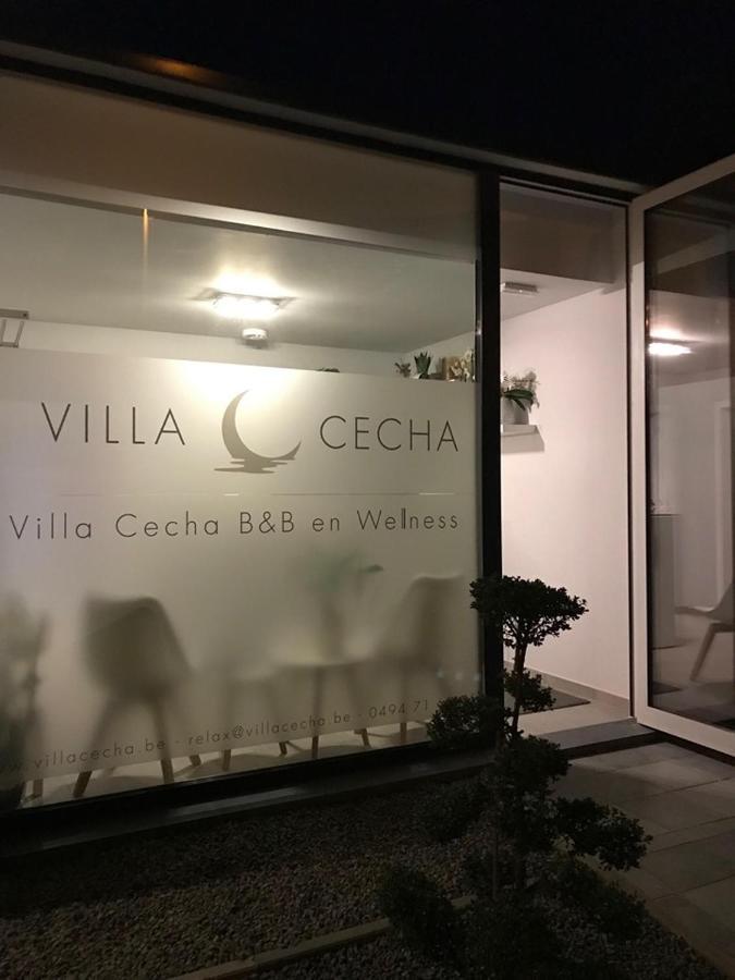 Villa Cecha B&b &Wellness Ostende Extérieur photo